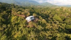 Secluded home surrounded by lush forest with ocean and mountain views.