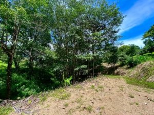 Build-ready land with easy access and stunning mountain views in Dominical.