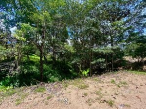Build-ready land with mountain views and easy access in Dominical, Costa Rica.