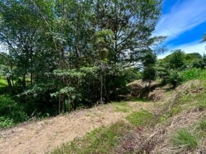 Build-ready land with easy access and stunning mountain views in Dominical.