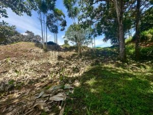 Build-ready land with easy access and stunning mountain views in Dominical, Costa Rica.