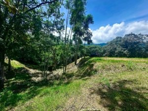 Build-ready 1.8-acre land with mountain views and easy access in Dominical.