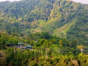 Panoramic view of lush green hills and forest in Dominical, Costa Rica.