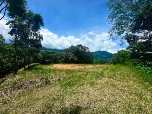 Build-ready 1.8-acre land with mountain views and easy access in Dominical.