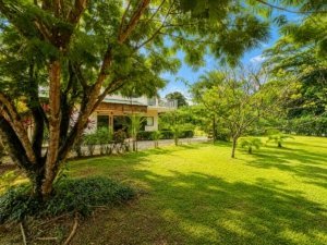 Lush garden with trees and grass in Dominical Costa Rica.