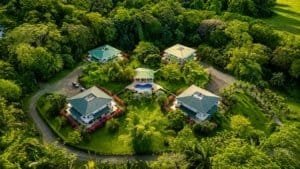 Aerial view of luxury villas in a lush green gated community in Dominical.