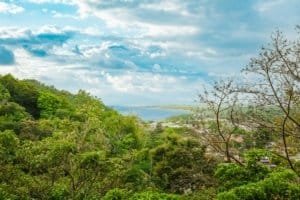 Scenic view of lush jungle, ocean, and sky from Dominical estate.