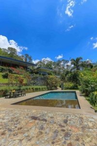 Scenic pool with mountain view and lush tropical garden in Dominical.