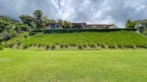 Beautiful tropical estate with lush greenery and white water ocean view.