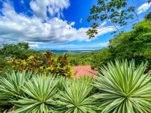 Lush tropical plants with ocean view and blue sky in Dominical, Costa Rica.