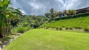Lush green lawn and tropical landscape in Dominical, Costa Rica.