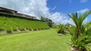 Lush green lawn and tropical plants in a gated community in Dominical.