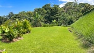 Beautiful tropical garden with green grass and lush plants in Dominical.