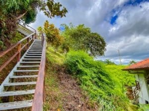 Scenic view of lush greenery and ocean from hillside property in Dominical.