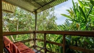 Balcony view of lush tropical forest near Nauyaca Waterfalls in Costa Rica.