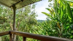Scenic view of lush tropical jungle with mountain home and guest cabin in Costa Rica.
