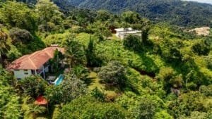 Lush green jungle with houses and ocean view in Dominical, Costa Rica.