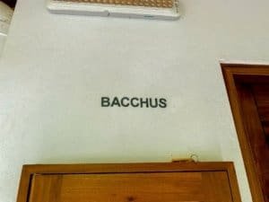 Sign reading 'Bacchus' on wall in Dominical, Costa Rica.