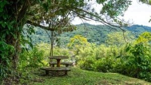Scenic mountain landscape with lush greenery and a picnic table.