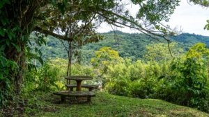 Scenic mountain view with picnic table and lush greenery in Dominical, Costa Rica.
