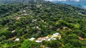 Aerial view of lush green forest and residential properties near Dominical.
