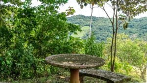 Rustic outdoor table overlooking lush green mountains and forest in Costa Rica.