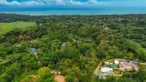 Aerial view of lush green forest and residential properties near Dominical.