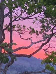 Colorful sunset behind mountain trees in Costa Rica.