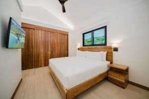 Contemporary bedroom with wooden bed frame and closet in a bright room.