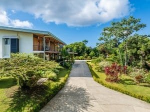 Elegant estate with infinity pool, hot tub, and mountain scenery in Dominical.