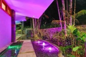 Night view of a luxury pool with colorful lighting and tropical plants.