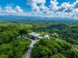 Luxury estate surrounded by lush forest with mountain views and clear blue sky.