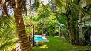 Lush tropical garden with pool, lounge chairs, and vibrant greenery in Dominical.