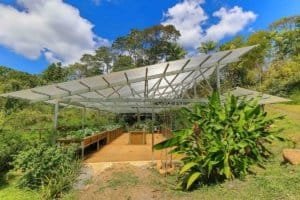 Eco-friendly greenhouse with solar panels and lush tropical plants in Dominical.
