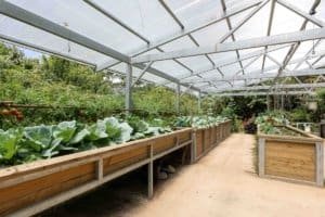 Greenhouse with vegetable beds and lush greenery in Costa Rica.