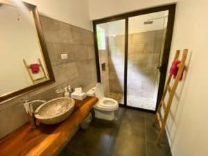 Contemporary bathroom with stone sink, glass shower, and wooden ladder.
