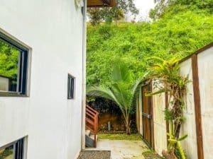 Lush garden path with tropical plants and wooden fence in Dominical.