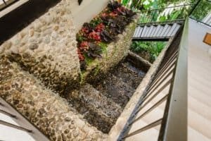 Stone water feature with plants in a Costa Rica estate garden.