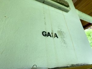 GAIA sign on wall with green textured background in Dominical, Costa Rica.