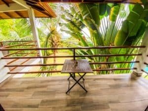 Balcony overlooking lush tropical garden with banana and palm trees.