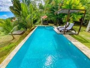 Swimming pool surrounded by lush tropical plants and lounge chairs.