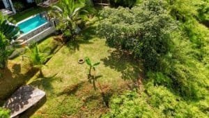 Tropical garden with pool, trees, and lush greenery in Costa Rica.