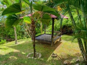 Lush tropical garden with wooden gazebo and palm trees in Dominical, Costa Rica.