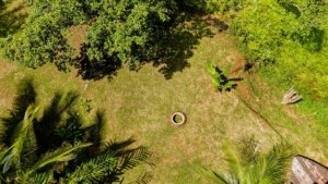 Aerial view of lush green yard with trees and plants in Dominical, Costa Rica.