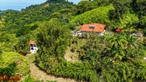 A lush green hillside with a house and boutique lodge overlooking the ocean.
