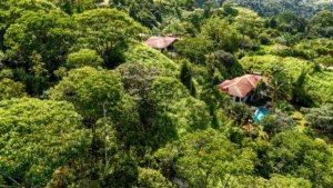Lush green jungle with homes and a pool in Dominical, Costa Rica.