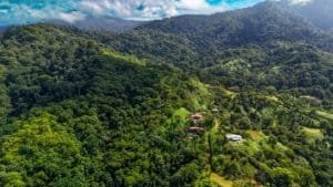 Lush green hills and ocean view from Dominical property in Costa Rica.