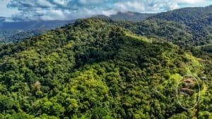 Lush green jungle with a house visible on a hillside in Dominical, Costa Rica.