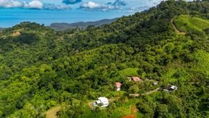 Lush green jungle with scattered houses and distant ocean view in Dominical.