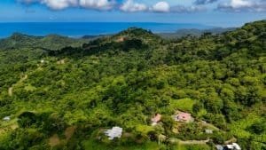 Lush green hills with homes and ocean view in Dominical, Costa Rica.